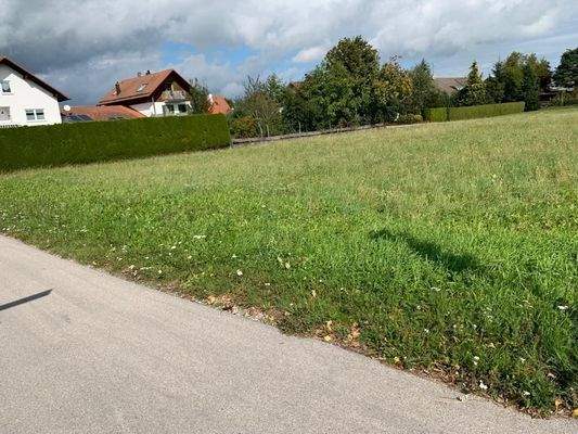 WhatsApp Bild 2025-07-19 um 17.32.20 0bda735e