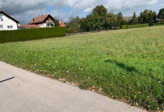 WhatsApp Bild 2025-07-19 um 17.32.20 0bda735e