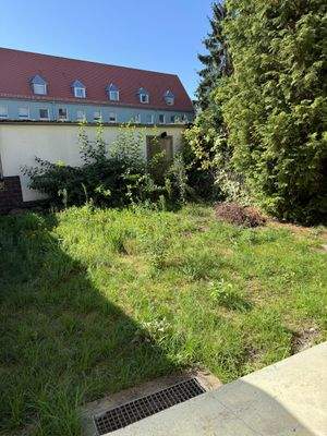 WhatsApp Image 2025-08-12 at 11.26.40 (4)