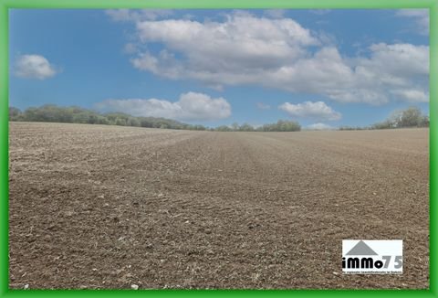 Knittlingen Bauernhöfe, Landwirtschaft, Knittlingen Forstwirtschaft