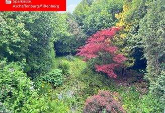 Blick auf das Grundstück