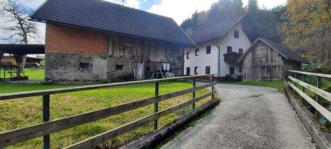 Hohenthurn Häuser, Hohenthurn Haus kaufen