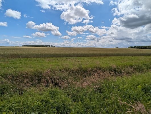 Grundstücksgrenze Blick nach Rechts