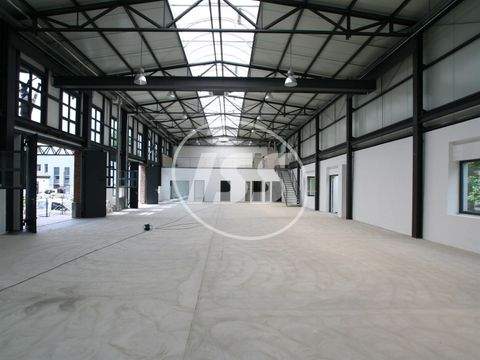 Köln Halle, Köln Hallenfläche