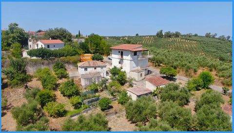 Raches - Kyparissia Häuser, Raches - Kyparissia Haus kaufen