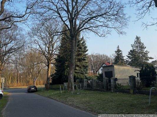 Blick von der Straße zum Grundstück