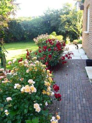 Weg giebelseitig ums Haus