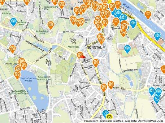 Geolyzer Kartenausschnitt