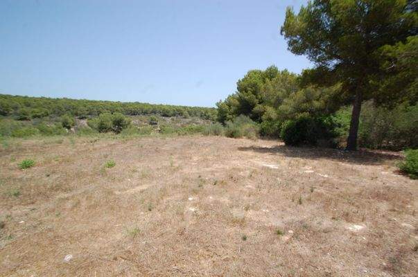 Building plot property in Sol de Mallorca