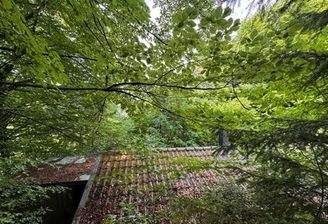 Blick über die Hütte
