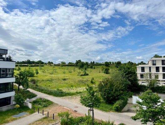 Blick auf grüne Landschaft