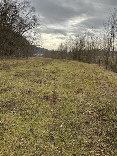 Nußdorf Bauernhöfe, Landwirtschaft, Nußdorf Forstwirtschaft