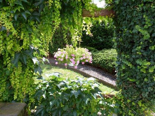 Blumenfenster im Garten