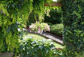 Blumenfenster im Garten