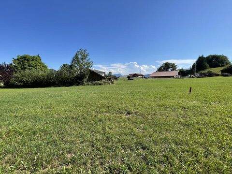 Zell am Moos Grundstücke, Zell am Moos Grundstück kaufen