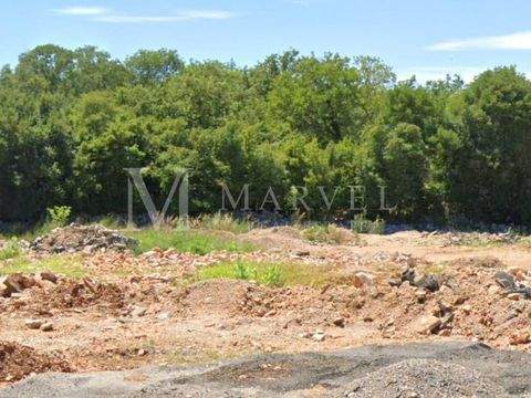 Malinska-Dubasnica Bauernhöfe, Landwirtschaft, Malinska-Dubasnica Forstwirtschaft