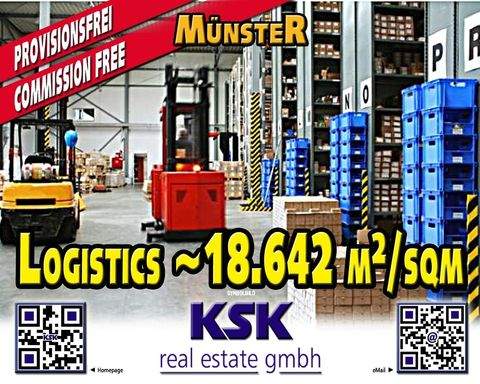 Münster Halle, Münster Hallenfläche