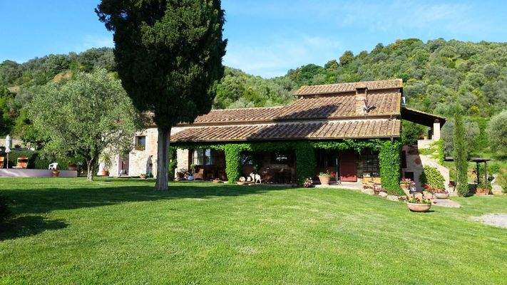 WhatsApp Image 2024-06-01 at 11.17.11.jpeg