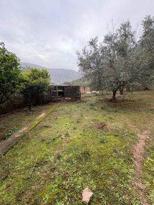 WhatsApp Image 2026-01-05 at 11.24.59 (26).jpeg