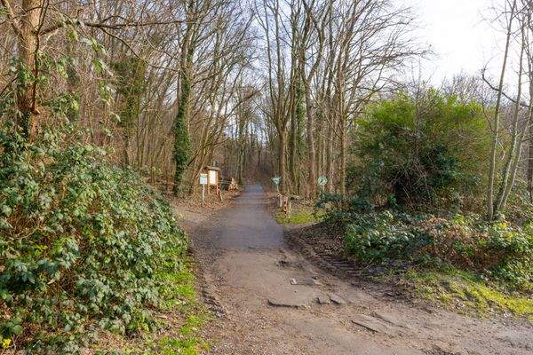 Waldwanderweg Gerresheimer Wald