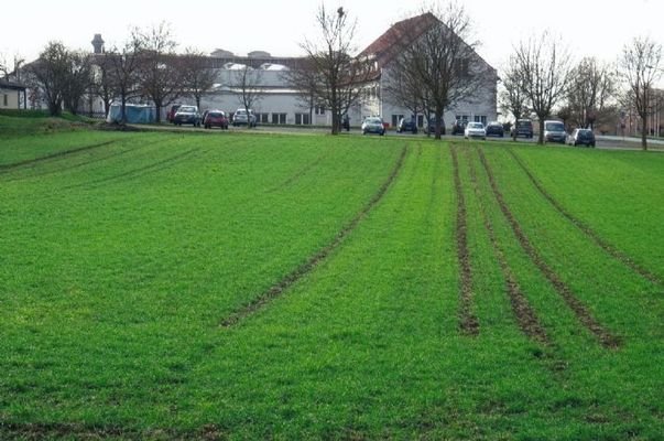 Angrenzende Grünfläche kann mit angepachtet werden