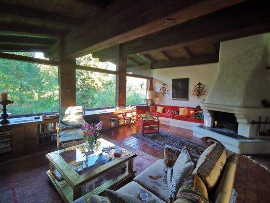 offenes Wohnen/Essen/Kochen