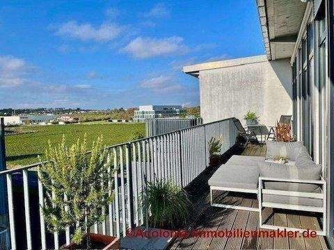 Dachterrasse Süd-West Ausrichtung