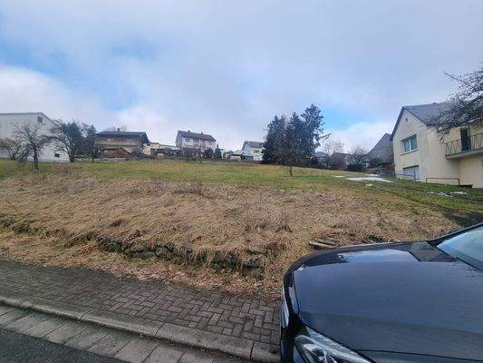 WhatsApp Image 2026-02-09 at 20.54.25.jpeg