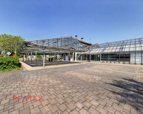 Dornbirn Ladenlokale, Ladenflächen 