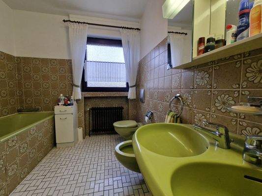 EG - Badezimmer Blick 1