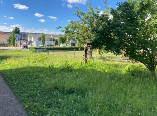 Teil_Garten_West_Süd.jpg
