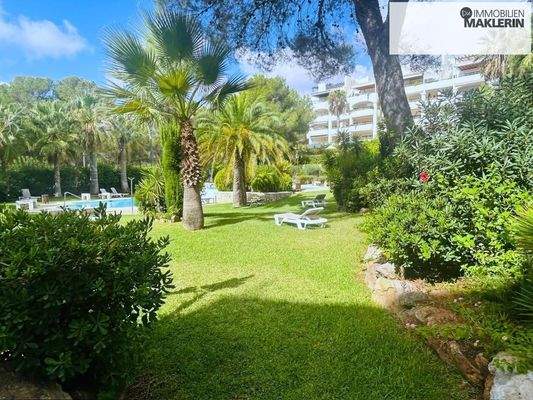 La Joya - Los Corales