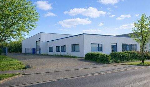 Ottendorf-Okrilla Halle, Ottendorf-Okrilla Hallenfläche