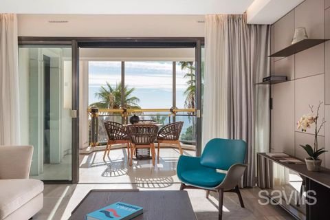 Cannes Wohnungen, Cannes Wohnung kaufen