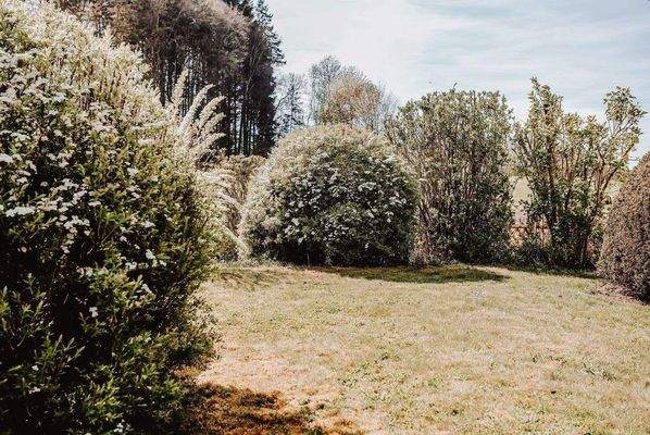 Wildromantischer Blütenzauber.