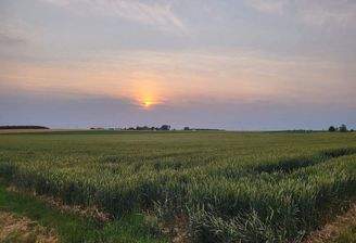 20230626_203446[1].jpg