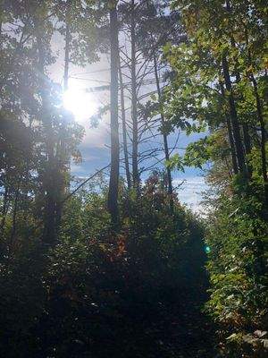 Steinberg am See (25).jpeg