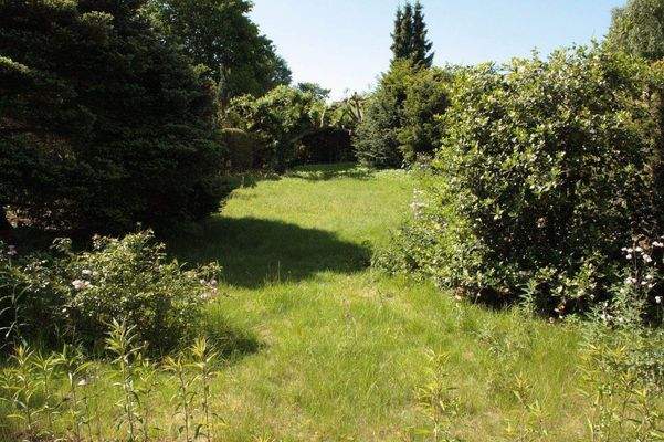 der wunderschöne Garten