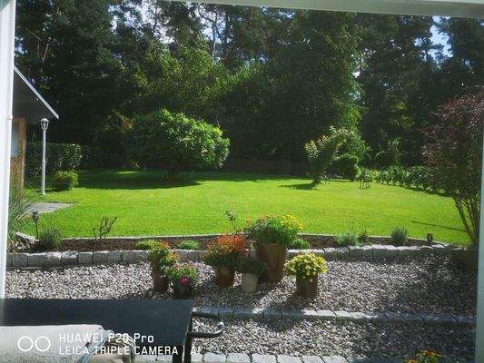 Blick in den Garten