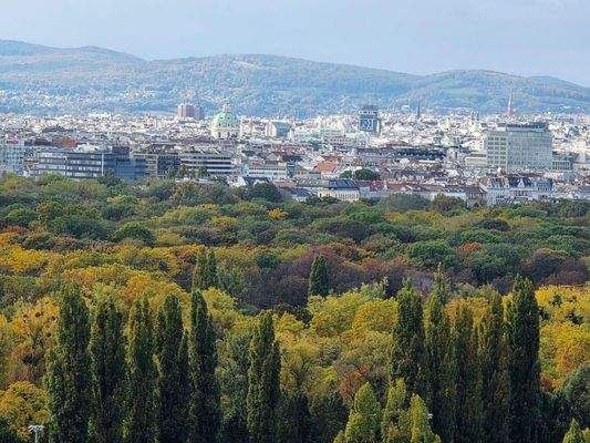 Blick Außenfläche 2