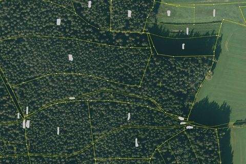 Eschenbach in der Oberpfalz / Stegenthumbach Bauernhöfe, Landwirtschaft, Eschenbach in der Oberpfalz / Stegenthumbach Forstwirtschaft