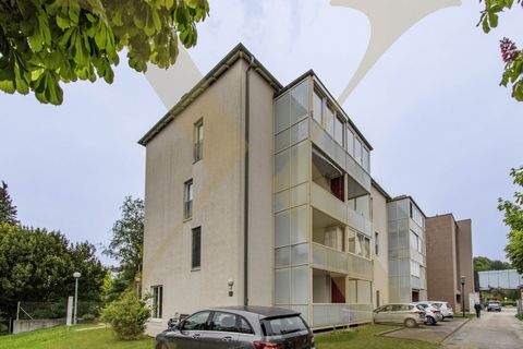 Laakirchen Ladenlokale, Ladenflächen 