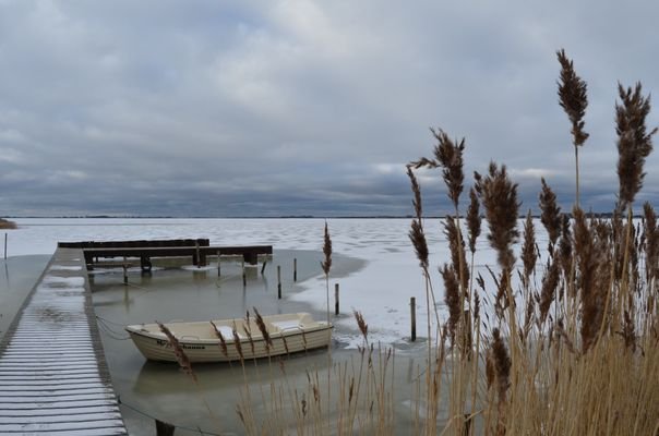 Winter am Bodden