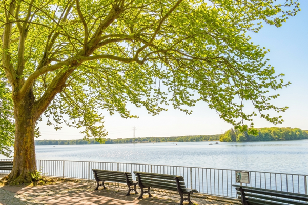 Tegeler See Promenade