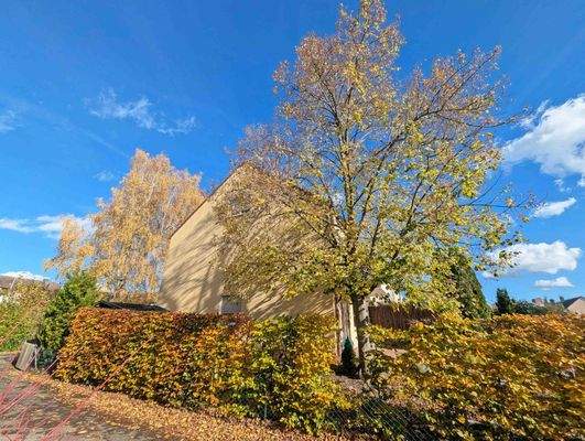 Ansicht West PXL_20251030_111424434b.jpg