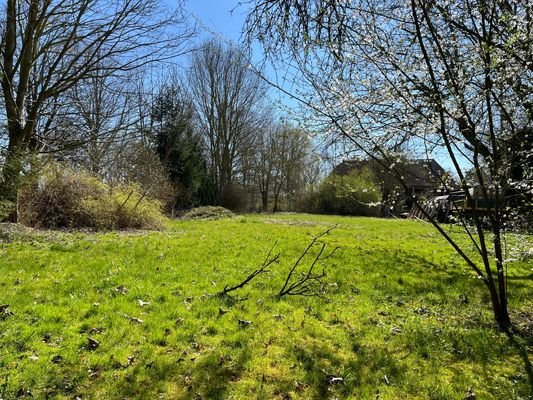 Blick auf das Grundstück