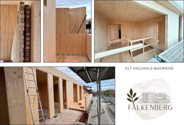 Projekt Falkenbergstraße Lohne