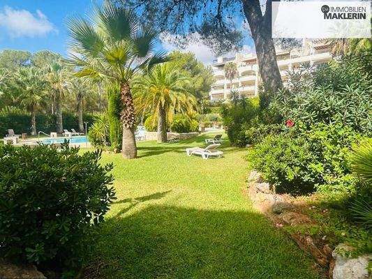 La Joya - Los Corales