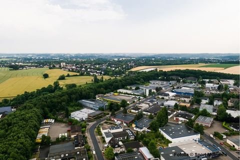 Dömitz Halle, Dömitz Hallenfläche