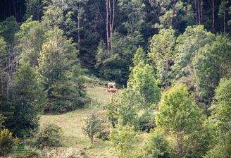 Bauernhof, Immobilien-Kurz-Salzburg